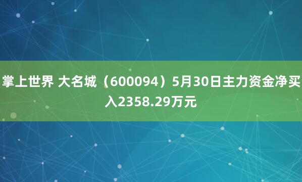 掌上世界 大名城（600094）5月30日主力资金净买入2358.29万元