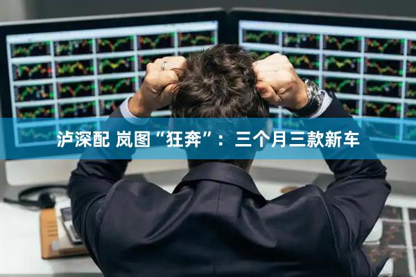 泸深配 岚图“狂奔”：三个月三款新车