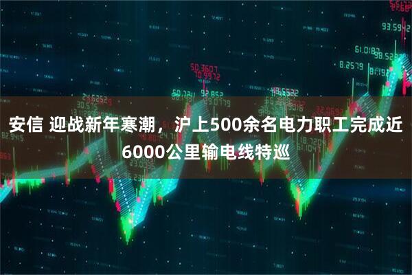 安信 迎战新年寒潮，沪上500余名电力职工完成近6000公里输电线特巡